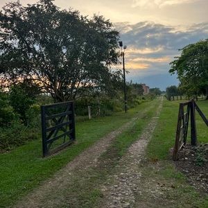 Meet your Posher, Marcelle